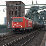 DSC00595